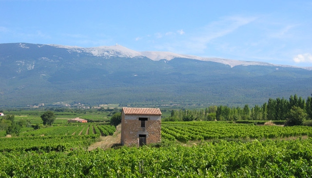 photo du Mont Ventoux